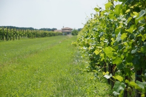 DSC02004 (1024x681).jpg